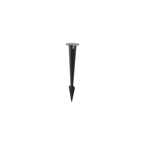 Porcini Spike Black