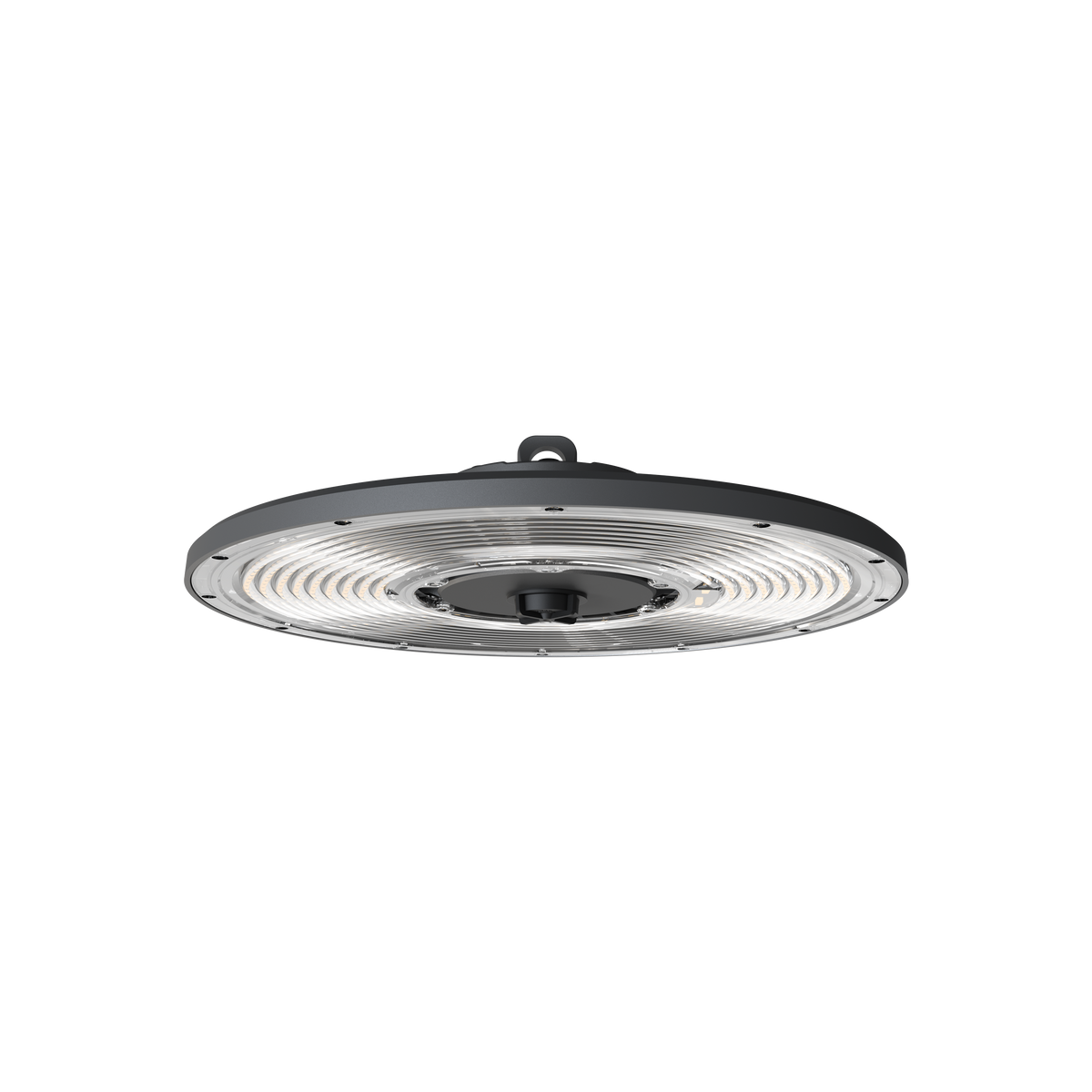 LEDE Select 223W High Output High Bay Graphite 4000K
