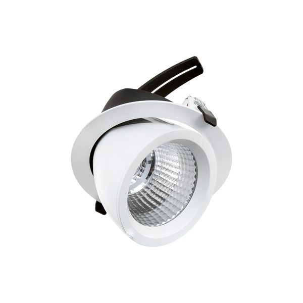 Drop Tilt/Rotate X-Large Downlight White 4000K