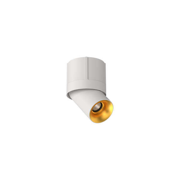 Cevon M80 Type 13 Dark Art Spot White, Gold 2700K