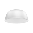 PC Transparent Diffuser for P301