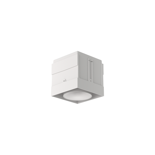 Cevon M81 Type 1 Dark Art Square Adj White 2700K