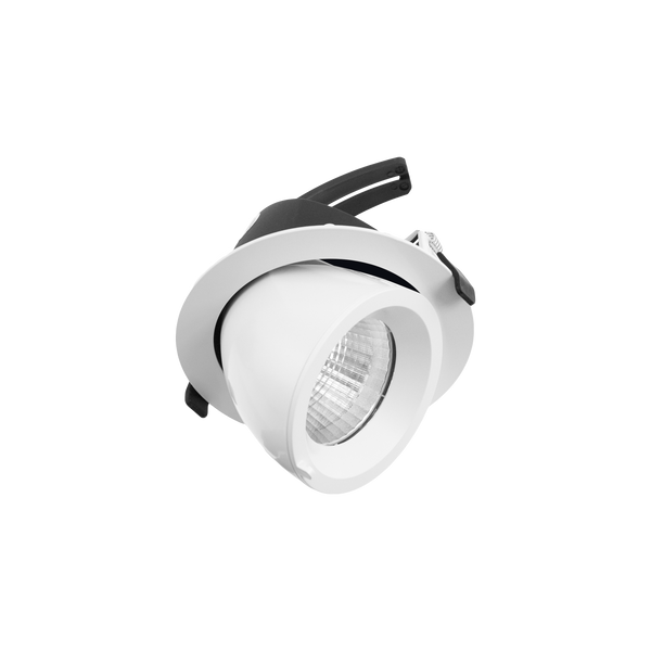 Drop Tilt/Rotate Large Downlight White 3000K