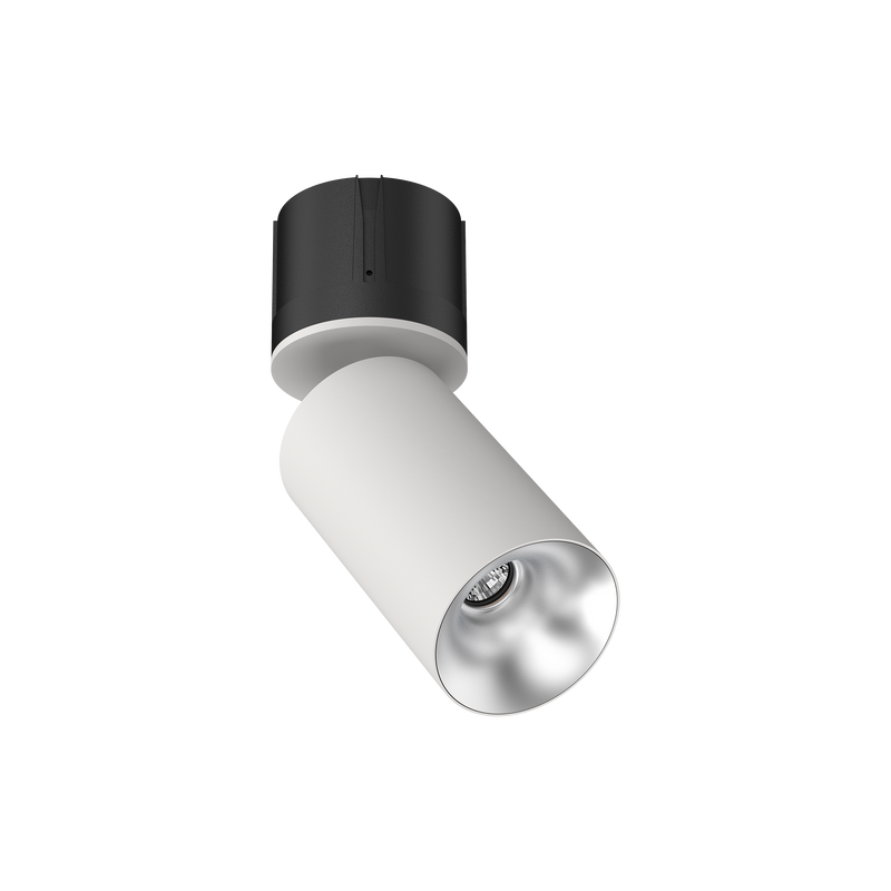 Cevon M80 Type 19 Dark Art Adj Spot White, Silver 4000K