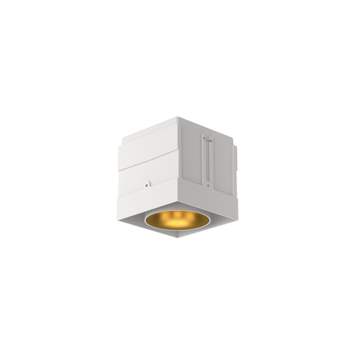 Cevon M81 Type 1 Dark Art Square Adj White, Gold 2700K