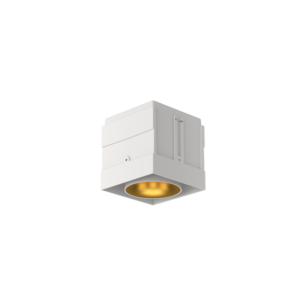 Cevon M81 Type 1 Dark Art Square Adj White, Gold 2700K