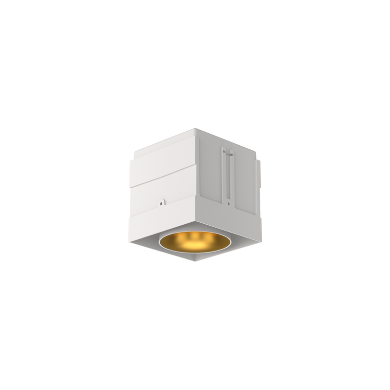 Cevon M81 Type 1 Dark Art Square Adj White, Gold 2700K