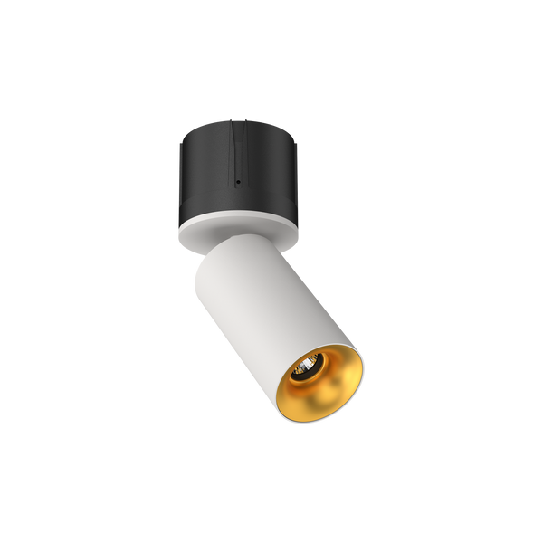 Cevon M80 Type 18 Dark Art Adj Spot White, Gold 4000K