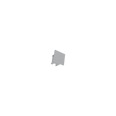 Track 3 Circuit End Cap Silver