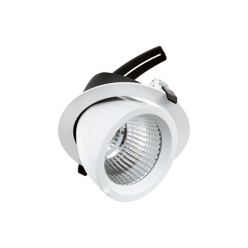 Drop Tilt/Rotate X-Large Downlight White 3000K