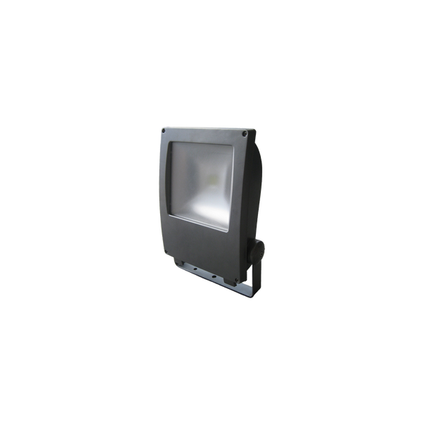 50W LED Exterior Flood Silver 3000K