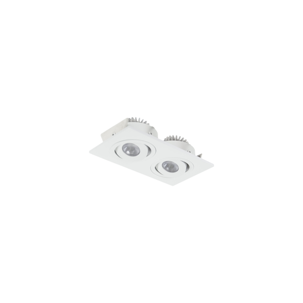 2 X 3W Twin Tilt/Rotate Display White 3000K