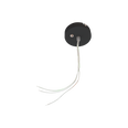 Ceiling Rose Black