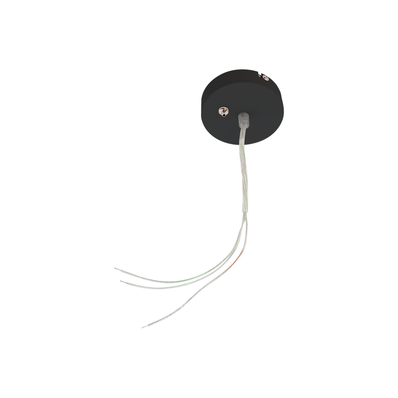 Ceiling Rose Black