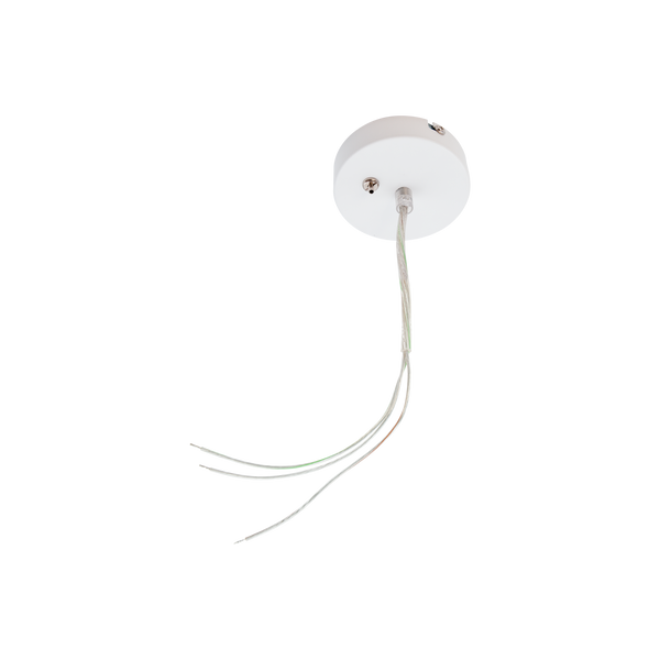 Ceiling Rose White