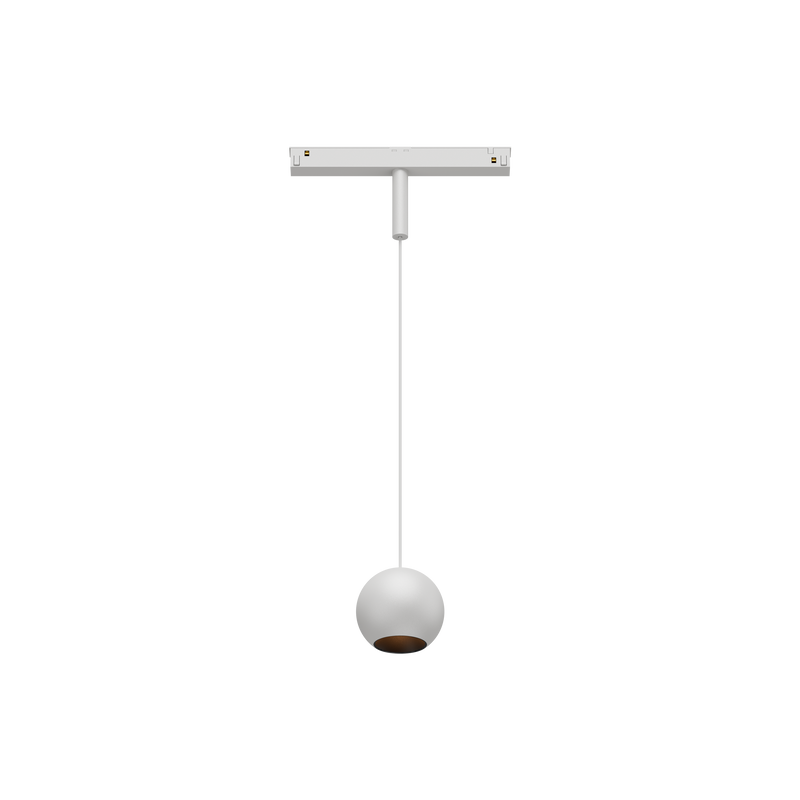 Cevon T8 48V Track Pendant Sphere White, Black